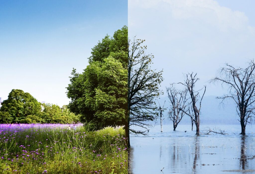 Climate Change Progress