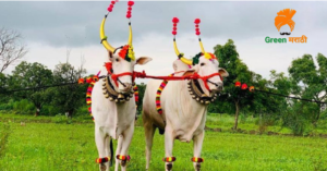 Bendur Festival in Maharashtra